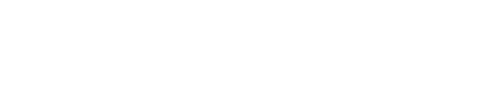 Duo Log, Logistic Group